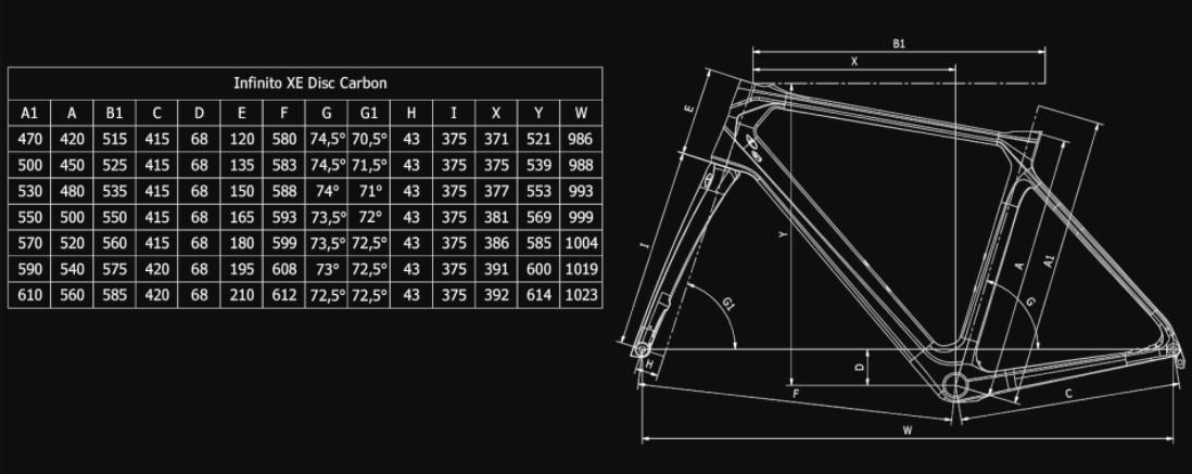 Bianchi infinito cv 2024 disc carbon frameset