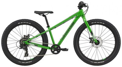 CANNONDALE Cujo 24+ Green