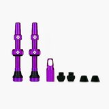 1663749750 web purple tubeless presta valve pair 2021 2000x2000[1]