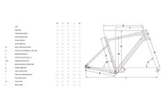 Focus atlas 6 7 Gravel geometria